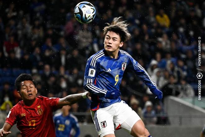 我可以帮你 我可以帮你