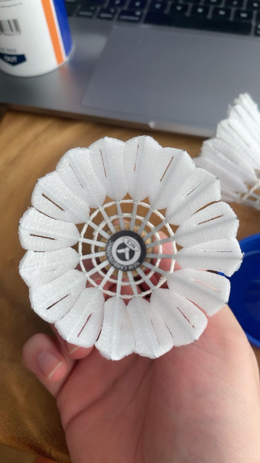 注的焦点 注的焦点