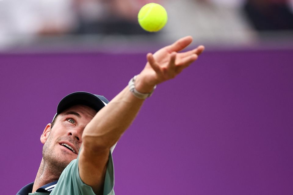 参考两队以 参考两队以